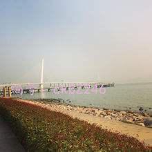 ؼ