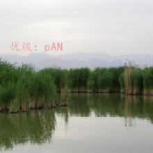 Ը